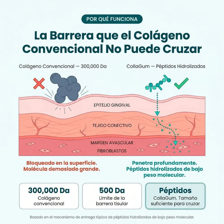 CollaGum AlureSmile — Frena la retracción de encías desde casa